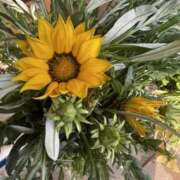 ヒメ日記 2025/04/17 15:21 投稿 みさ 熟女の風俗最終章 宇都宮店