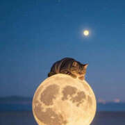 ヒメ日記 2025/05/11 08:02 投稿 みさ 熟女の風俗最終章 宇都宮店