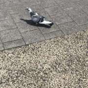 ヒメ日記 2025/05/23 11:21 投稿 みさ 熟女の風俗最終章 宇都宮店