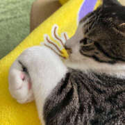 ヒメ日記 2025/06/02 12:51 投稿 みさ 熟女の風俗最終章 宇都宮店