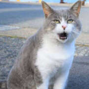 ヒメ日記 2025/06/19 22:41 投稿 みさ 熟女の風俗最終章 宇都宮店