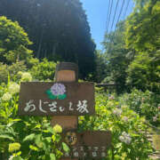 ヒメ日記 2025/06/20 11:02 投稿 みさ 熟女の風俗最終章 宇都宮店