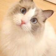 ヒメ日記 2025/06/22 14:51 投稿 みさ 熟女の風俗最終章 宇都宮店