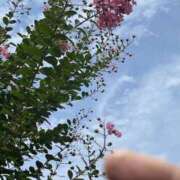 ヒメ日記 2025/08/06 13:02 投稿 みさ 熟女の風俗最終章 宇都宮店