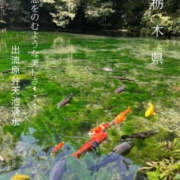 ヒメ日記 2025/08/23 17:21 投稿 みさ 熟女の風俗最終章 宇都宮店