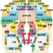 ヒメ日記 2025/08/29 13:01 投稿 みさ 熟女の風俗最終章 宇都宮店