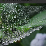 ヒメ日記 2025/09/11 16:13 投稿 みさ 熟女の風俗最終章 宇都宮店