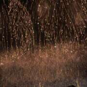 ヒメ日記 2025/09/13 22:11 投稿 みさ 熟女の風俗最終章 宇都宮店