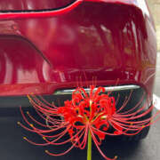 ヒメ日記 2025/10/01 22:43 投稿 みさ 熟女の風俗最終章 宇都宮店