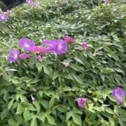 ヒメ日記 2025/10/02 22:51 投稿 みさ 熟女の風俗最終章 宇都宮店