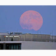 ヒメ日記 2025/11/05 20:02 投稿 みさ 熟女の風俗最終章 宇都宮店