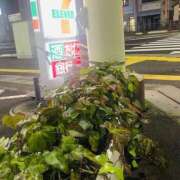 ヒメ日記 2025/11/13 17:41 投稿 みさ 熟女の風俗最終章 宇都宮店