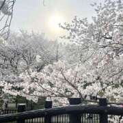 ヒメ日記 2026/01/09 22:41 投稿 みさ 熟女の風俗最終章 宇都宮店