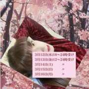 ヒメ日記 2026/02/28 02:41 投稿 みさ 熟女の風俗最終章 宇都宮店