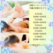 ヒメ日記 2026/03/09 14:41 投稿 みさ 熟女の風俗最終章 宇都宮店