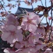 ヒメ日記 2026/03/11 12:41 投稿 みさ 熟女の風俗最終章 宇都宮店