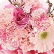 ヒメ日記 2026/03/14 10:21 投稿 みさ 熟女の風俗最終章 宇都宮店