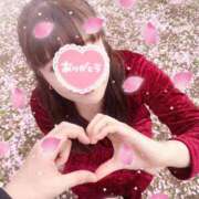 ヒメ日記 2026/03/16 09:41 投稿 みさ 熟女の風俗最終章 宇都宮店