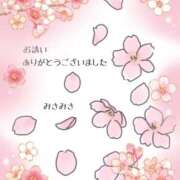 ヒメ日記 2026/03/22 09:31 投稿 みさ 熟女の風俗最終章 宇都宮店