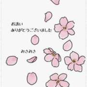 ヒメ日記 2026/03/24 01:31 投稿 みさ 熟女の風俗最終章 宇都宮店