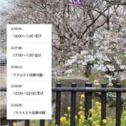 ヒメ日記 2026/03/25 21:26 投稿 みさ 熟女の風俗最終章 宇都宮店