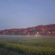 ヒメ日記 2026/03/29 07:31 投稿 みさ 熟女の風俗最終章 宇都宮店