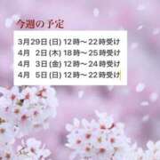 ヒメ日記 2026/03/29 08:01 投稿 みさ 熟女の風俗最終章 宇都宮店