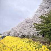 ヒメ日記 2026/03/31 21:02 投稿 みさ 熟女の風俗最終章 宇都宮店