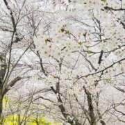 ヒメ日記 2026/04/01 22:21 投稿 みさ 熟女の風俗最終章 宇都宮店