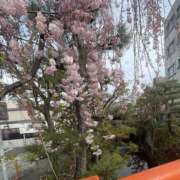 ヒメ日記 2026/04/06 20:21 投稿 みさ 熟女の風俗最終章 宇都宮店