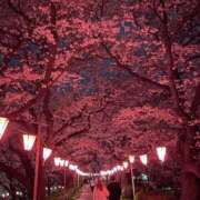 ヒメ日記 2026/04/08 23:11 投稿 みさ 熟女の風俗最終章 宇都宮店