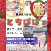 ヒメ日記 2026/04/14 02:01 投稿 みさ 熟女の風俗最終章 宇都宮店