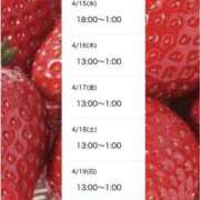 ヒメ日記 2026/04/15 09:05 投稿 みさ 熟女の風俗最終章 宇都宮店