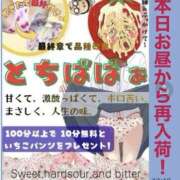 ヒメ日記 2026/04/24 12:44 投稿 みさ 熟女の風俗最終章 宇都宮店