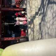 ヒメ日記 2025/02/09 23:32 投稿 里中あいり ローテンブルク