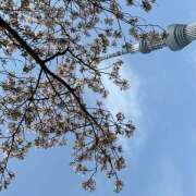 ヒメ日記 2025/04/10 20:55 投稿 里中あいり ローテンブルク