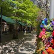 ヒメ日記 2025/04/17 12:30 投稿 里中あいり ローテンブルク