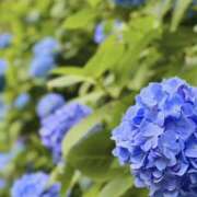 ヒメ日記 2025/06/15 21:55 投稿 里中あいり ローテンブルク