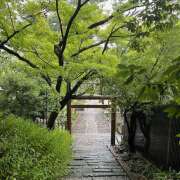 ヒメ日記 2025/08/12 08:00 投稿 里中あいり ローテンブルク