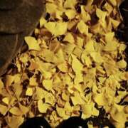 里中あいり この時期限定 ローテンブルク