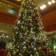 ヒメ日記 2025/12/07 21:55 投稿 里中あいり ローテンブルク