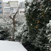 ヒメ日記 2026/02/08 10:25 投稿 里中あいり ローテンブルク