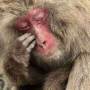 ヒメ日記 2026/03/23 13:00 投稿 里中あいり ローテンブルク