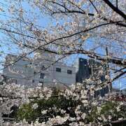 ヒメ日記 2026/03/25 13:13 投稿 里中あいり ローテンブルク