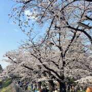 ヒメ日記 2026/03/29 11:00 投稿 里中あいり ローテンブルク