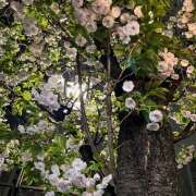 ヒメ日記 2026/04/04 22:00 投稿 里中あいり ローテンブルク