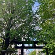 ヒメ日記 2026/08/14 09:10 投稿 里中あいり ローテンブルク