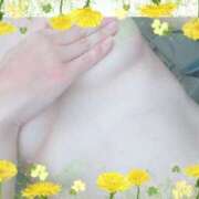 ヒメ日記 2025/02/20 09:00 投稿 あゆむ 小岩人妻花壇