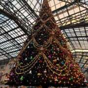 ヒメ日記 2025/12/23 19:04 投稿 あゆむ 小岩人妻花壇