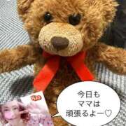 ヒメ日記 2025/03/08 13:06 投稿 白川奈緒 五十路マダム 浜松店(カサブランカグループ)